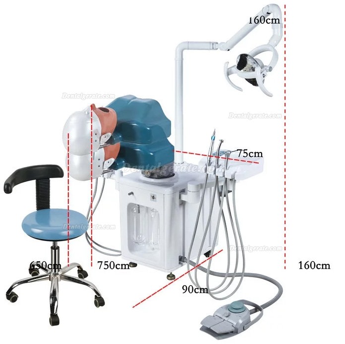 Jingle JG-A2 Phantomkopf Zahnmedizin-Patientensimulator Mit Zahnarzthocker und Zahnlampe